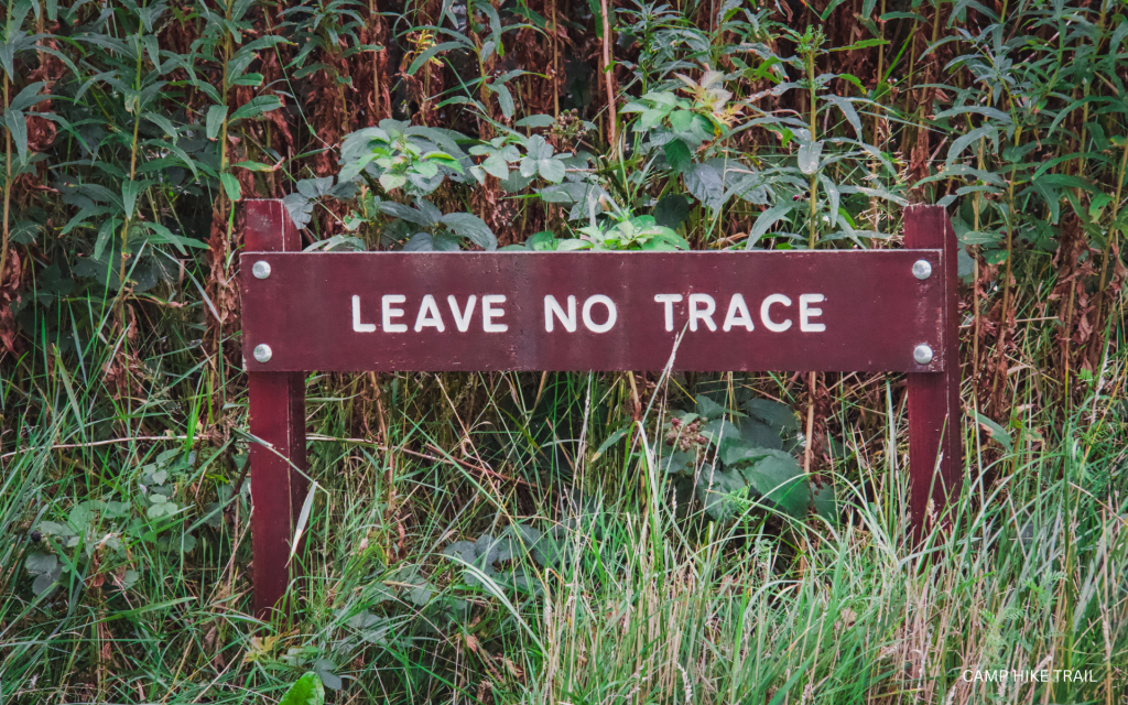 Camp Hike Trail's Leave No Trace Champions: Hike Like a Pro, Tread Lightly!